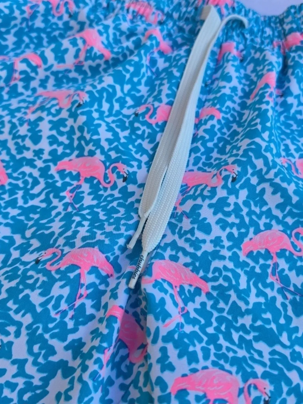 Chubbies Mens Classic 5.5